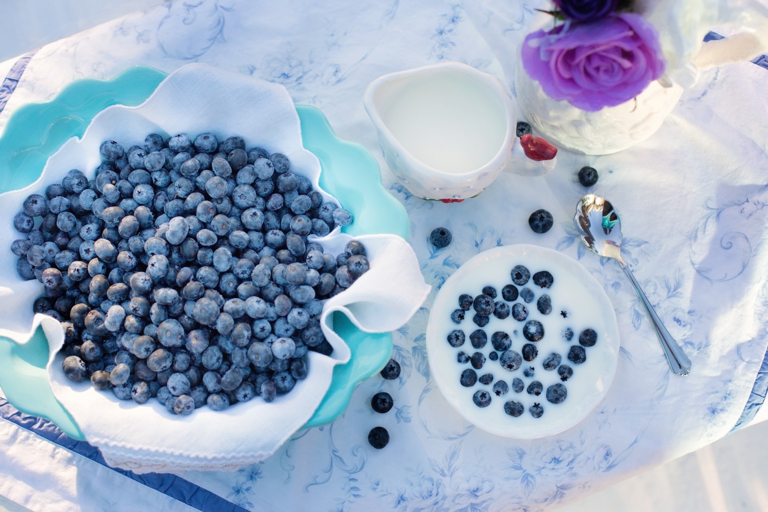 blueberries-1576409_1920