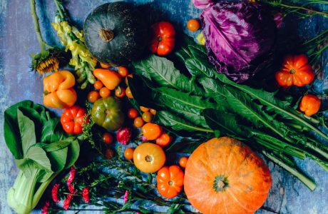 pexels-photo-1458694